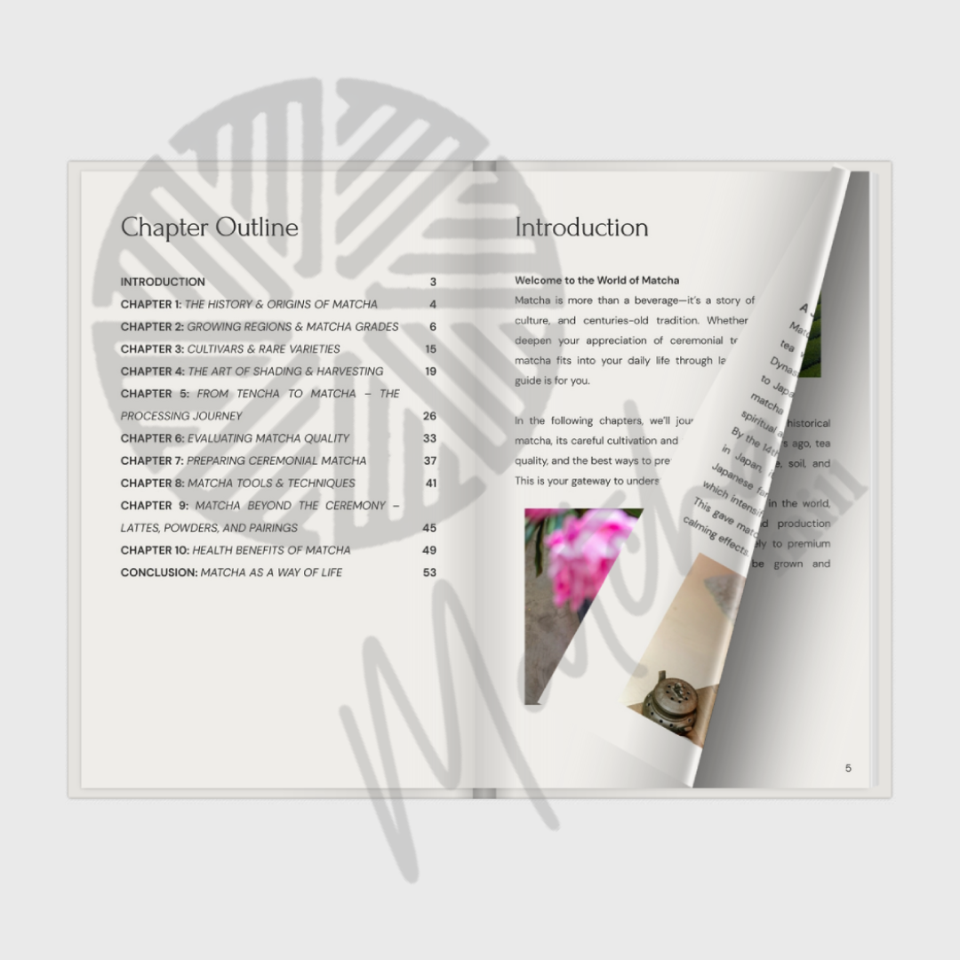 (Digital Ebook) Introducing Matcha: The Complete Matcha Guide by Matcha Mill
