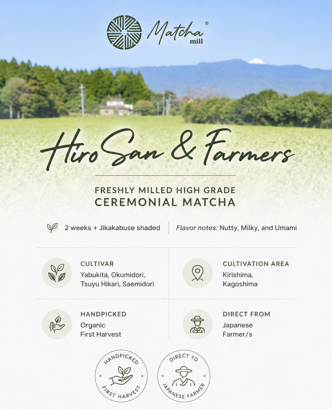 Hiro San - First Flush Premium Ceremonial Grade