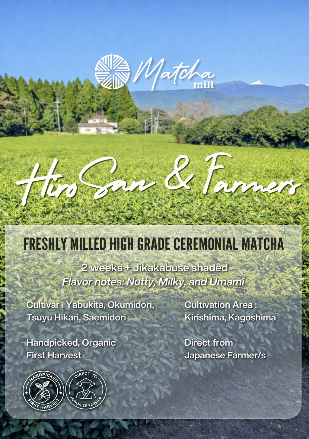Hiro San - First Flush Ceremonial Grade