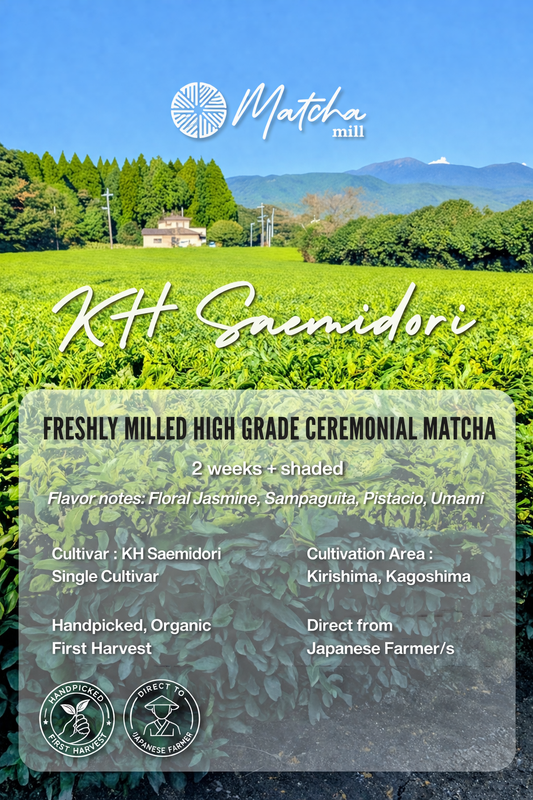 KH Saemidori - First Flush Handpicked Organic Ceremonial Grade